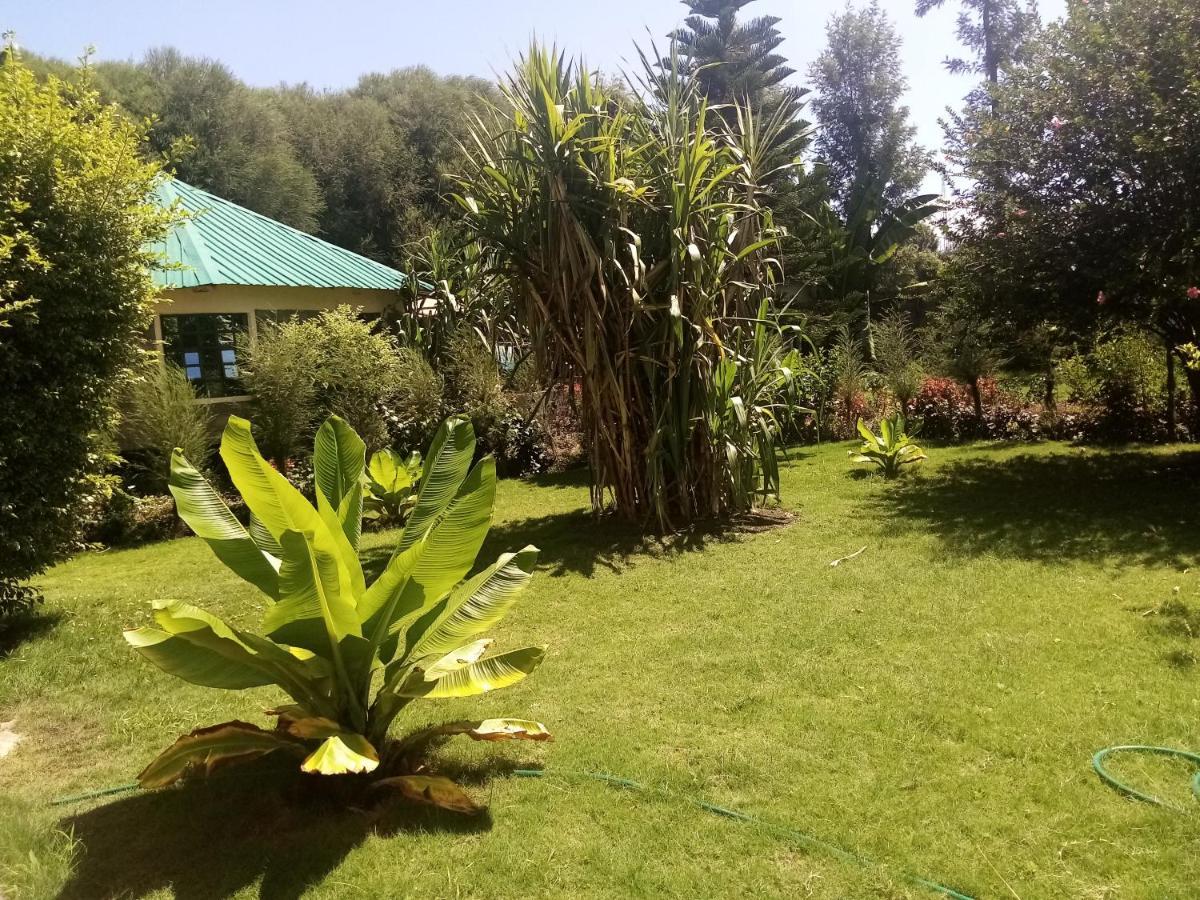 Homebase Gardens Νακούρου Εξωτερικό φωτογραφία