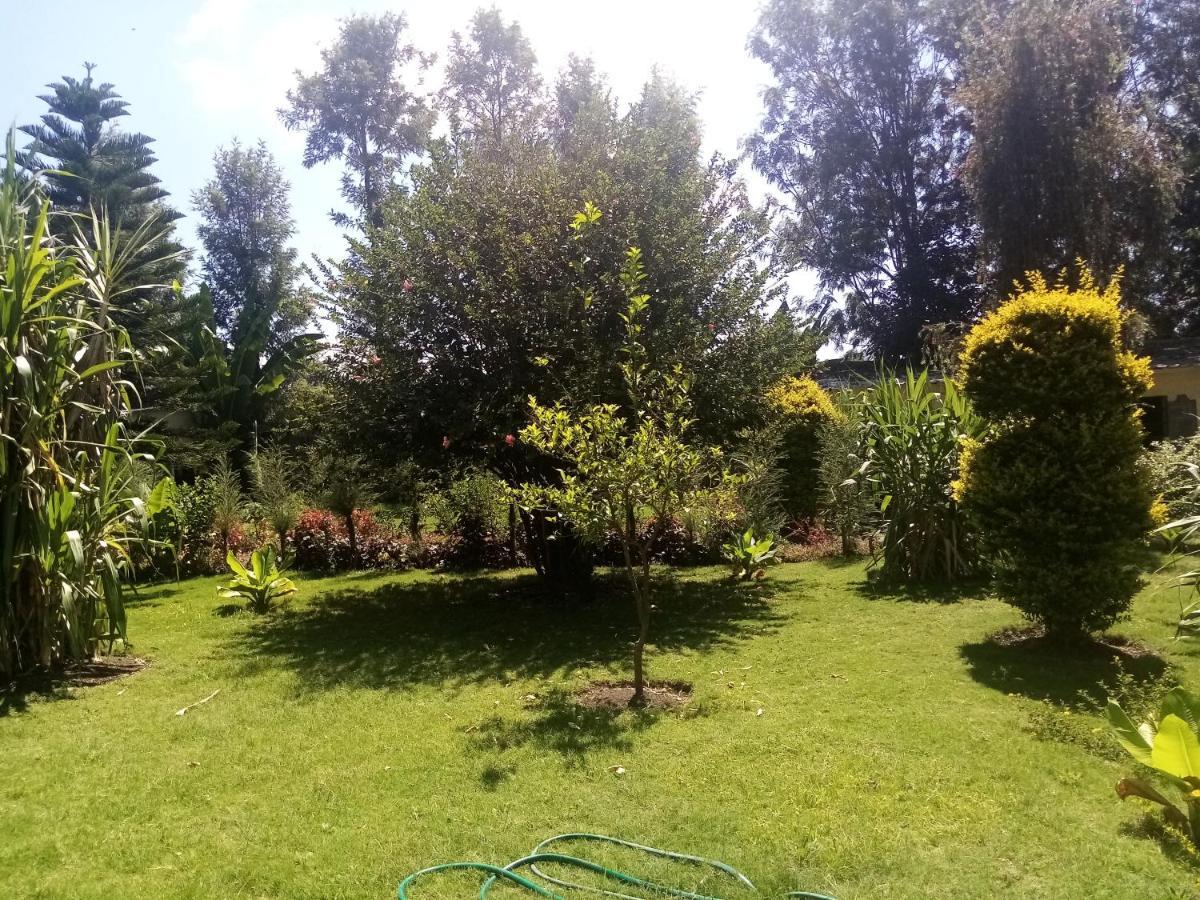 Homebase Gardens Νακούρου Εξωτερικό φωτογραφία